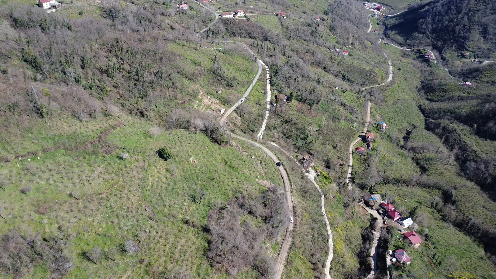 BOLATLI 4200 METREKARE FINDIK BAHÇESİ